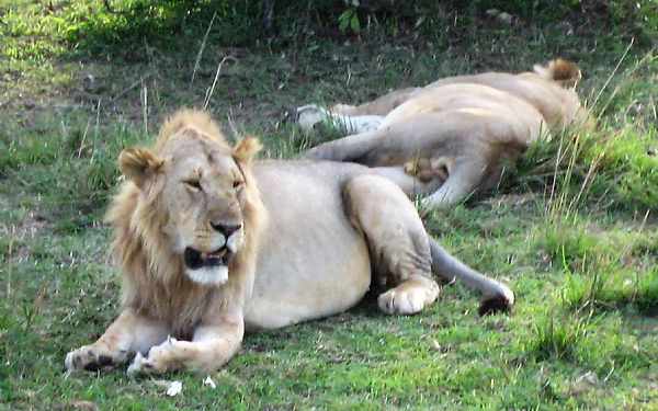 Fra rejseleder Geoffrey p Kenya Drmme Safari 25.09.2017