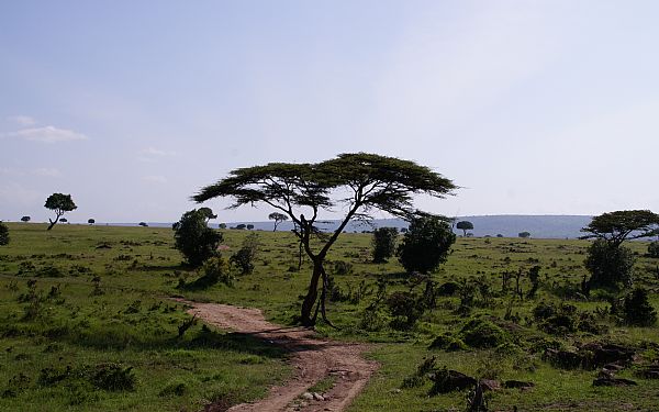Fra rejseleder Geoffrey p Kenya Drmme Safari 17.10.2017