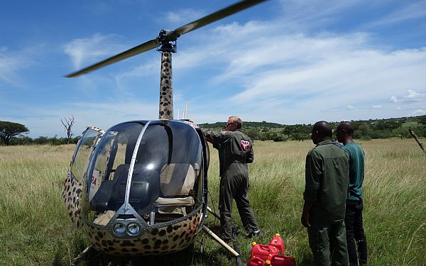 Ree helikopter er med til at redde nyfdt elefantunge  