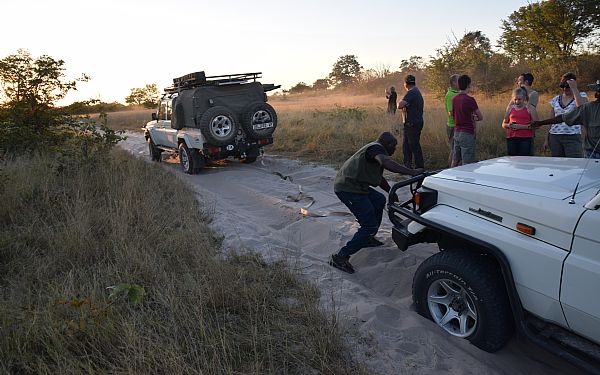 Botswana Adventure (1)