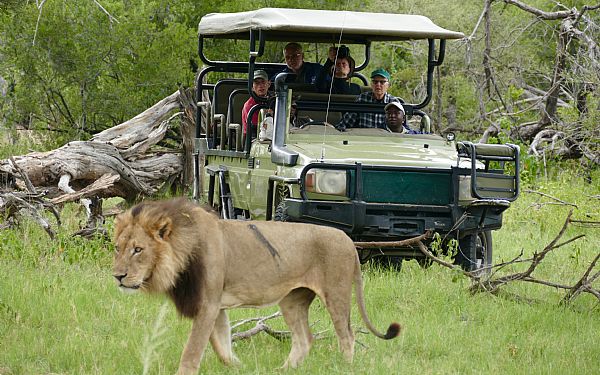 Eksklusiv Foto Safari til Botswana