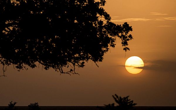 Fra rejseleder Michael p Tanzanias Hjdepunkter 05.02.2018