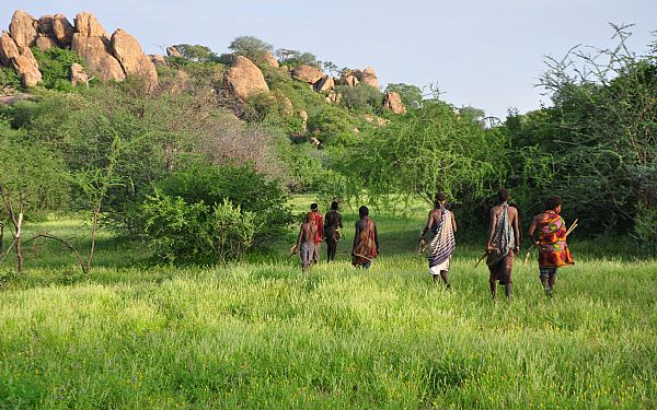 P privat safari i Tanzania