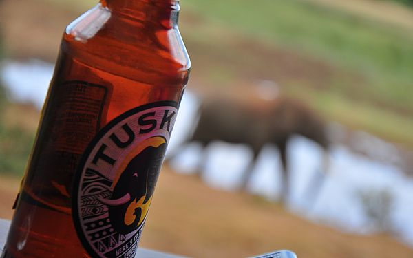 Hvordan kan drikkevarer nydes p safari?