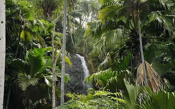 Hiking p Seychellerne