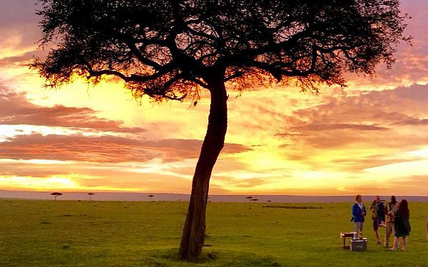 Fantastisk safari p Karen Blixen Camp