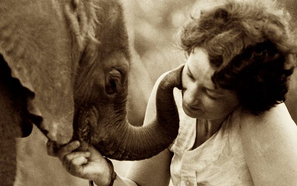 Kenyas kendte stifter af David Sheldrick Wildlife Trust - Dame Daphne Sheldrick er dd