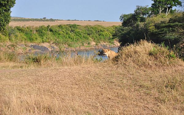 Fra rejseleder Carsten p Kenya Familie Safari 05.07.2018