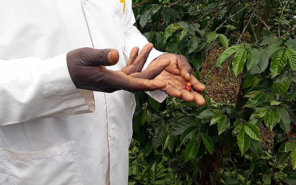 Fra rejseleder Carsten p Kenya Drmme Safari 09.07.2018