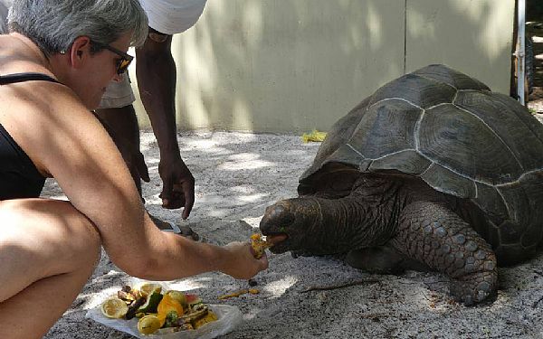 Fra rejsekonsulent Lisbeth - Seychellernes dyreliv