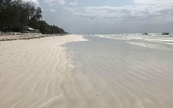  Privat safari i Kenya