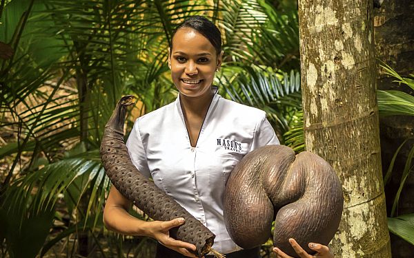 Coco de Mer - verdens strste kokosnd