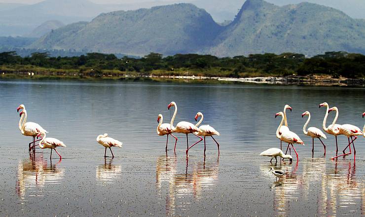 Fra rejseleder Geoffrey p Kenya Drmme Safari 17.09.2018