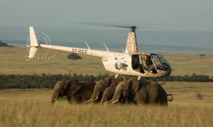 Hvad er Mara Elephant Project?