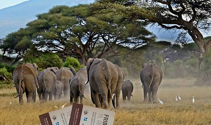 Og vinderen i vores Adventskalender 2018 er............