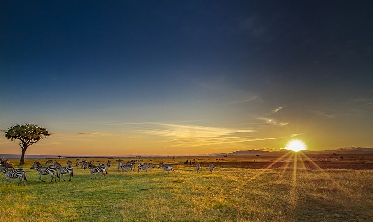 Sdan fr du den bedste Afrika rejse til en god pris....