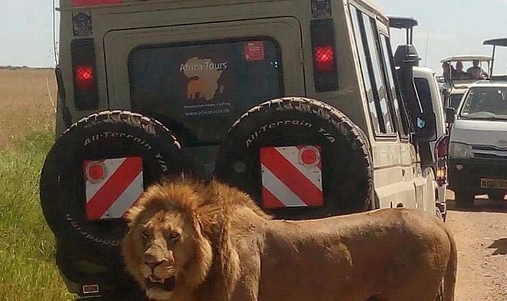 Fra rejseleder Geoffrey p privat safari med familien Bauer 