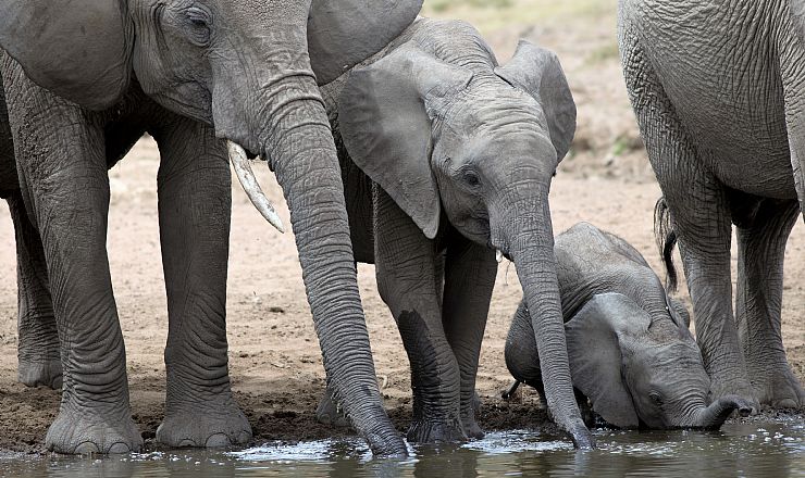 Alt begyndelse er svr 