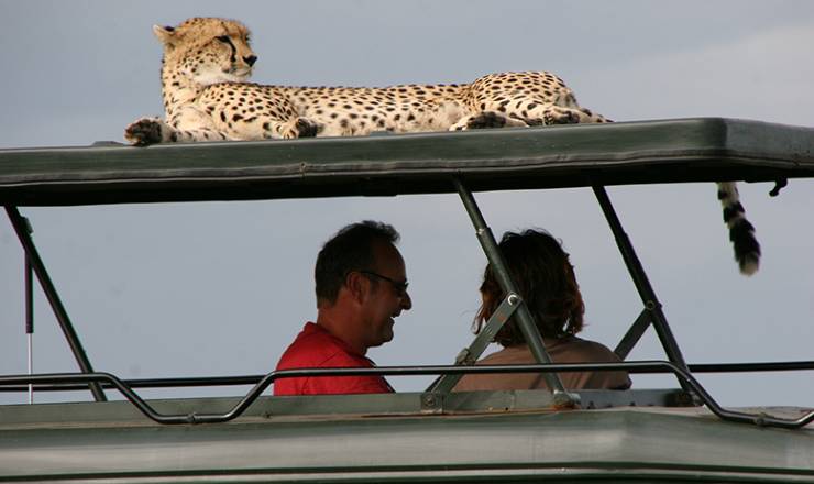 Tanzania safari & Zanzibar