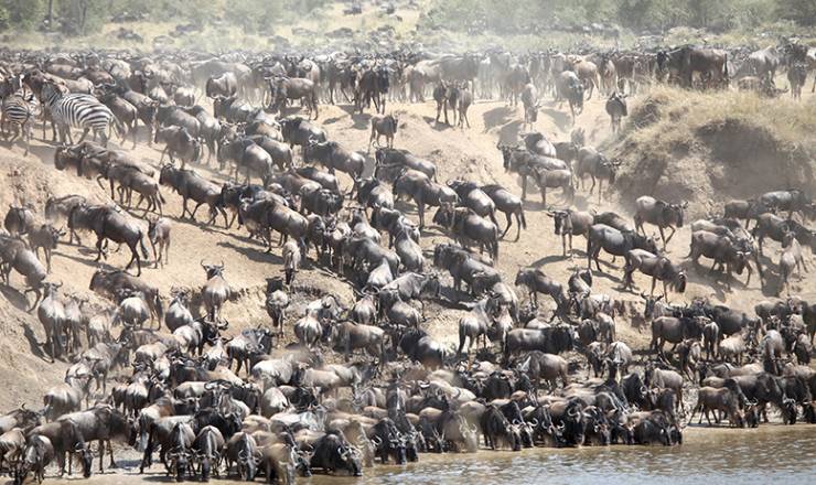 Elly og Leif Wrtz med Paw Gosmer i Kenya