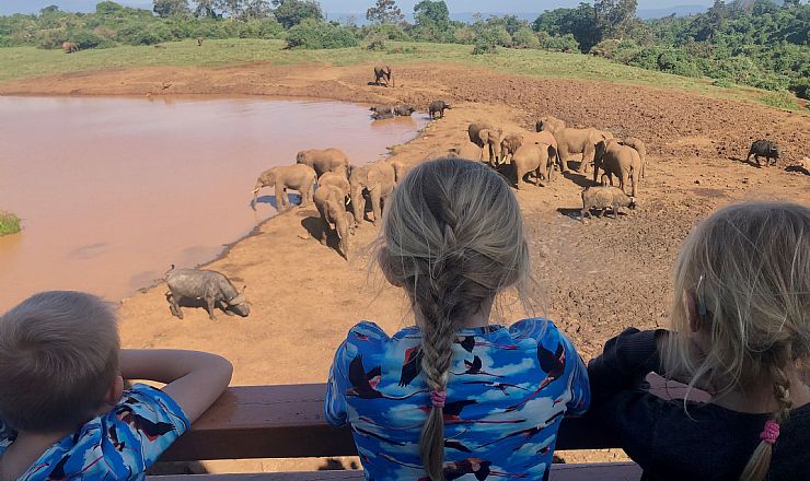 Kan man rejse p safari med brn?