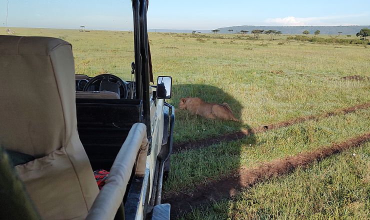 Er det meget varmt i Afrika?