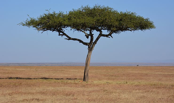 Hvor varmt er det i Afrika?