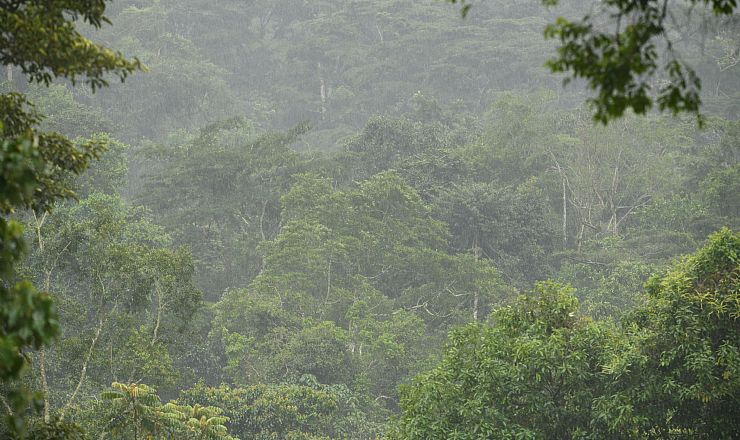 Hvornr er det bedst at rejse til Uganda?