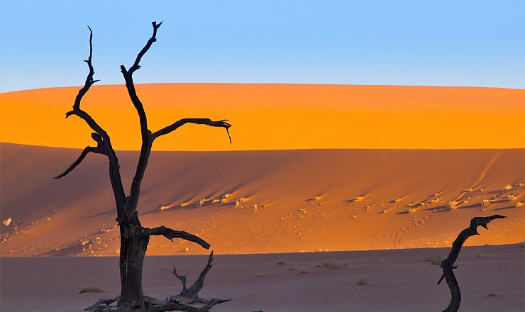 Kan man se andet end smukke rkener i Namibia?