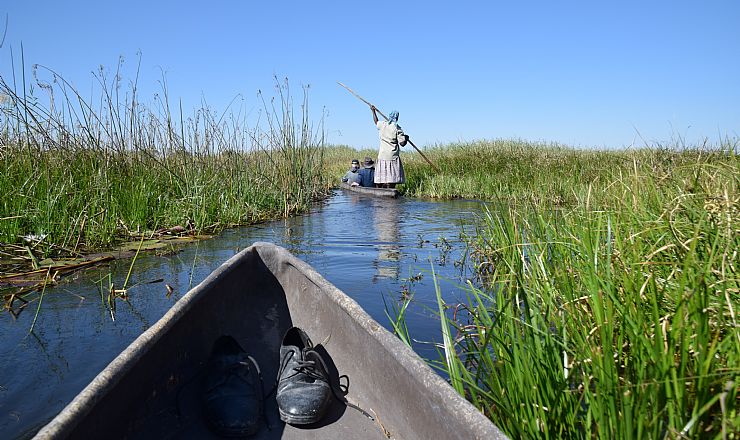 Er det dyrt at tage p� safari i Okavango deltaet?