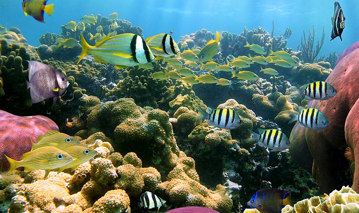 Er det dyrt at tage til Seychellerne?