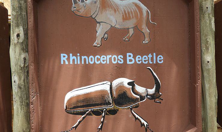 Hvad er The Big Five? 