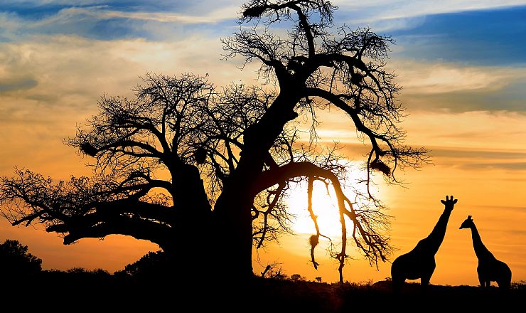 Hvor har Afrika fet sit navn fra?