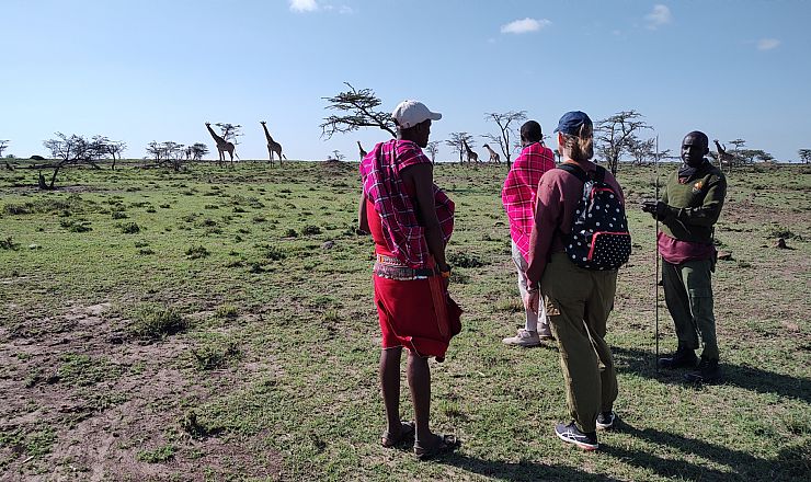 Hvad er walking safari?