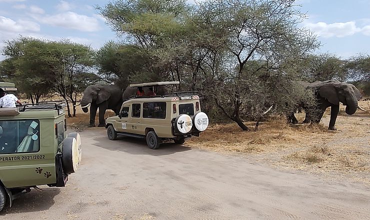 Hvad er forskellen p en grupperejse og en privat rejse?