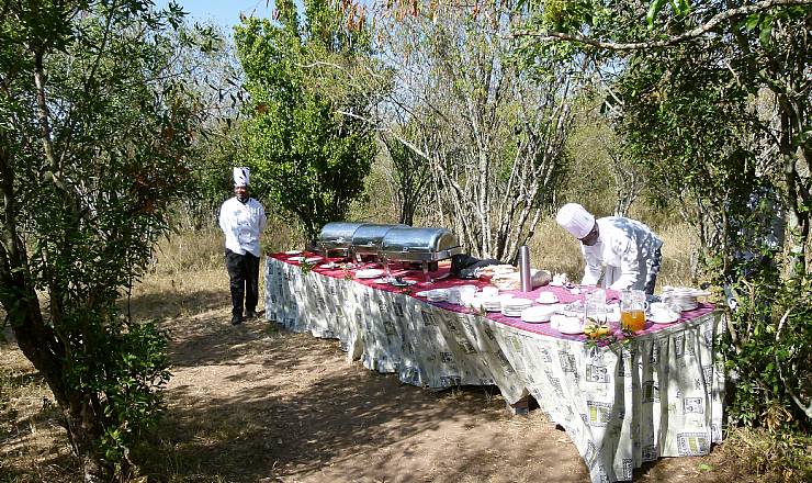 En typisk safari dag 