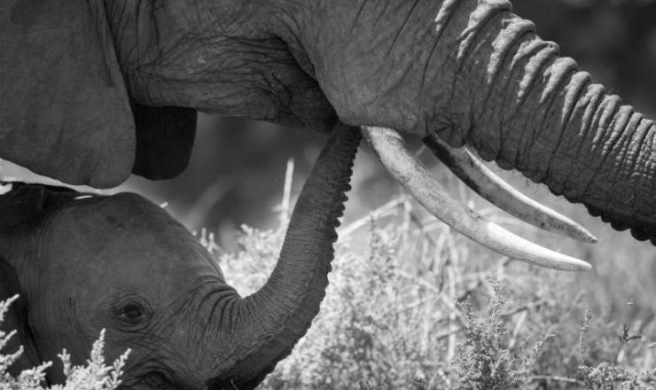 Gldelig jul og godt nytr