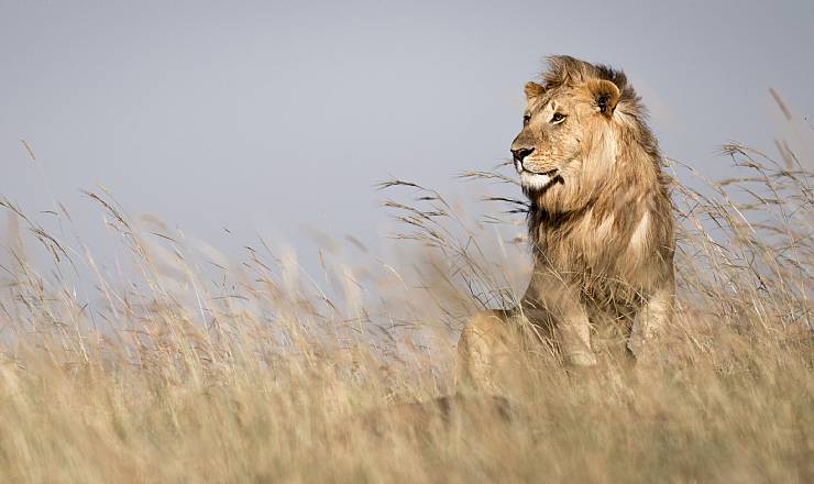 TV Midtvest p besg p vores stand p Ferie For Alle