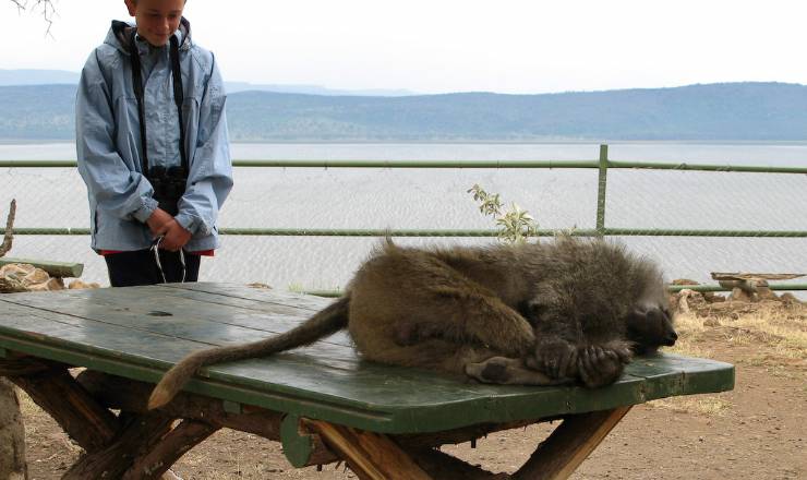 Anekdoter fra det virkelige Afrika (2)
