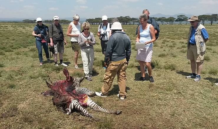 Kenya Drmme Safari med dansktalende rejseleder Carsten