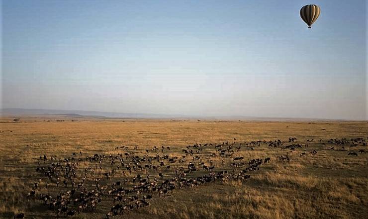 Fra rejseleder Geoffrey p privat safari med familien Rnberg