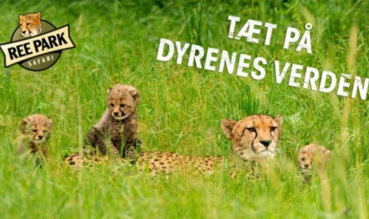 Mandelgave-konkurrence p Facebook er udtrukket  