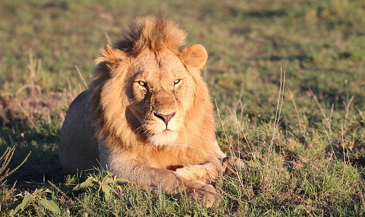 Fra rejseleder Jesper på privat safari med familien Ostenfeldt Jørgensen