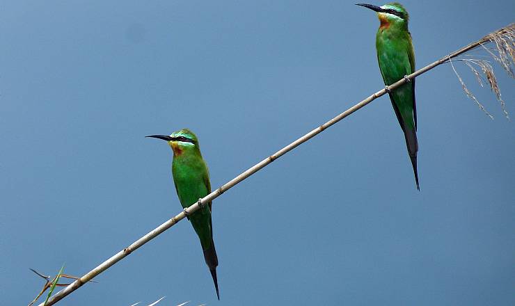 Great Trek Adventure med rejseleder John