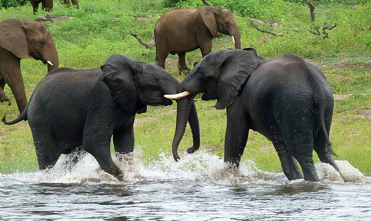 Ferie For Alle - Vinder af rundrejse for to personer til Afrika med Africa Tours