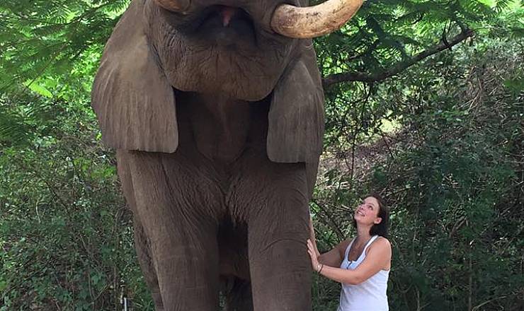 Elefantambassadr i Sydafrika med rejseleder Paw 