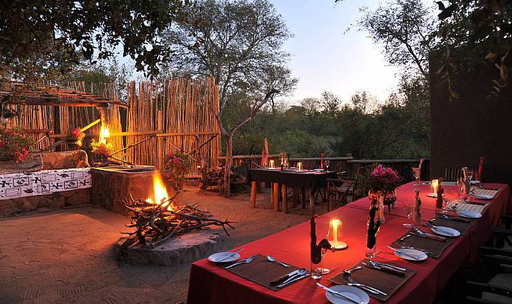 P safari og Cape Town i Sydafrika