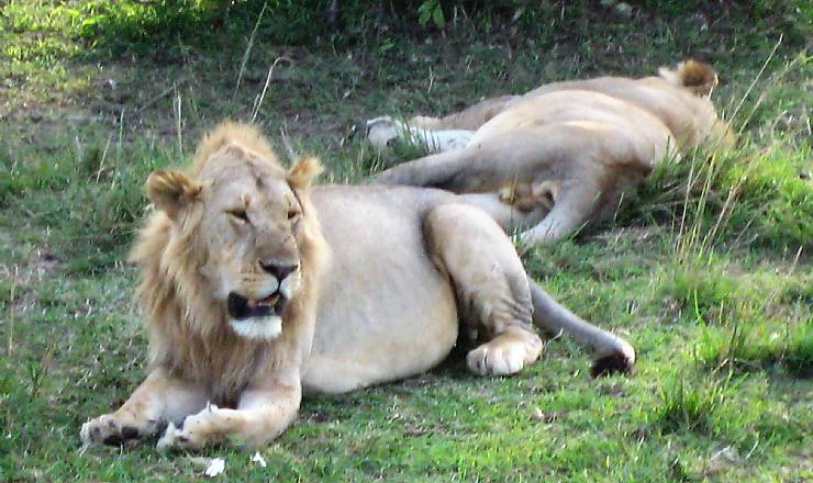 Fra rejseleder Geoffrey p Kenya Drmme Safari 25.09.2017