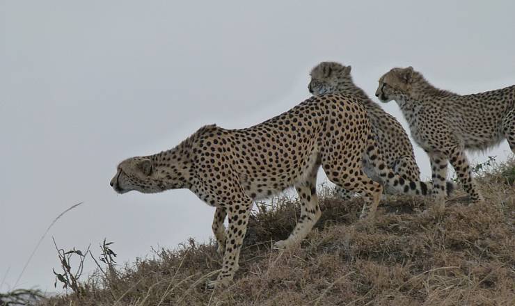 P vej til Kenya  igen... 