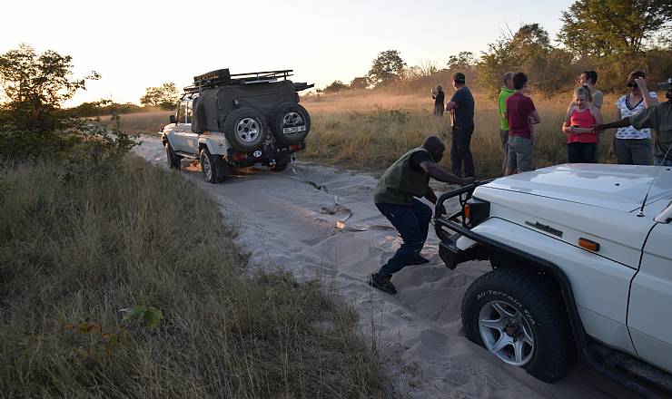 Botswana Adventure (1)